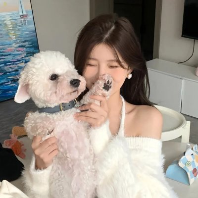 神探特伦特第二季